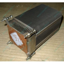 Радиатор HP p/n 433974-001 для ML310 G4 (с тепловыми трубками) 434596-001 SPS-HTSNK (Калининград)