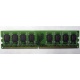 Модуль оперативной памяти 4096Mb DDR2 Patriot PSD24G8002 pc-6400 (800MHz)  (Калининград)