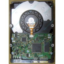 HDD Sun 500G 500Gb в Калининграде, FRU 540-7889-01 в Калининграде, BASE 390-0383-04 в Калининграде, AssyID 0069FMT-1010 в Калининграде, HUA7250SBSUN500G (Калининград)