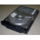 Жесткий диск 18.4Gb Quantum Atlas 10K III U160 SCSI (Калининград)