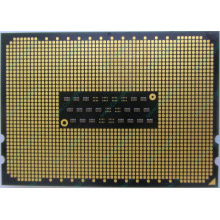 AMD Opteron 6128 OS6128WKT8EGO (Калининград)