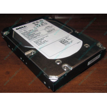 Жесткий диск 300Gb 15k Dell 9CH066-050 6G SAS (Seagate Cheetach ST3300656SS 15K.6) - Калининград
